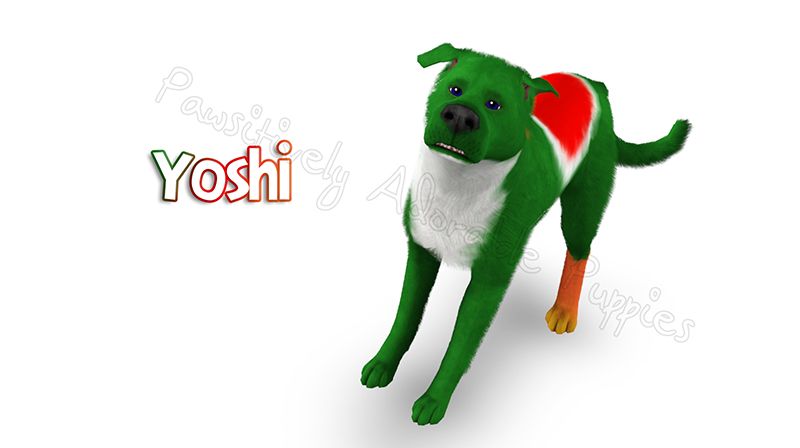 yoshi dog toy